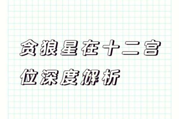 紫薇斗数贪狼在命宫