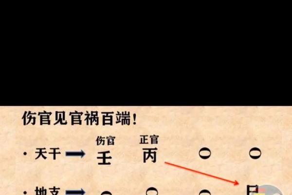 八字枭神夺食 八字枭神夺食