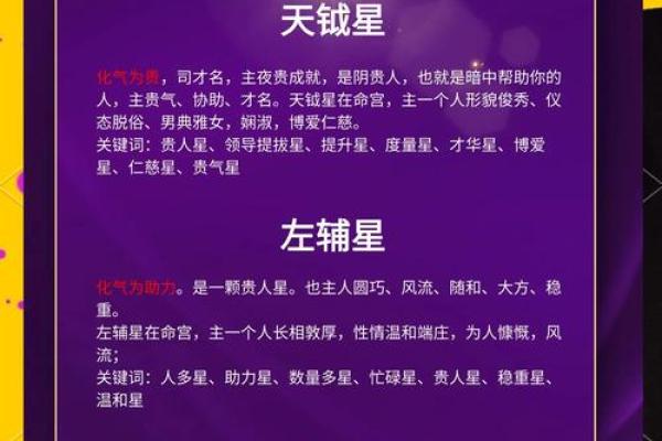 紫薇星耀的寓意