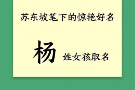 起名杨姓女孩名字大全,八字看下半年运势