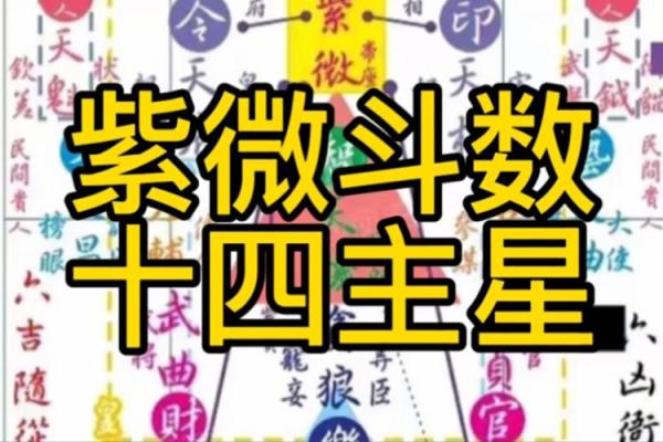 紫微斗数嫁 紫微斗数嫁二婚男？