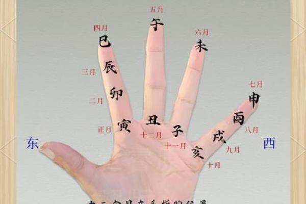 在线扫一扫测手相算命,扫一扫测手相算命免费