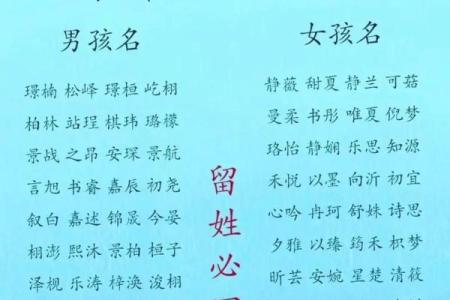 起名字生辰八字起名免费