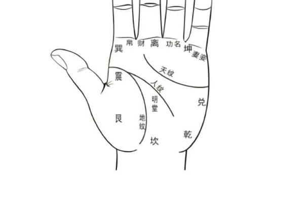 算命手相,免费看手相算命