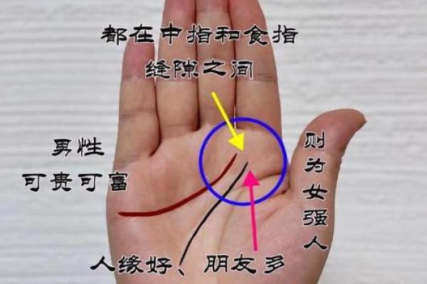 算命手相,免费看手相算命