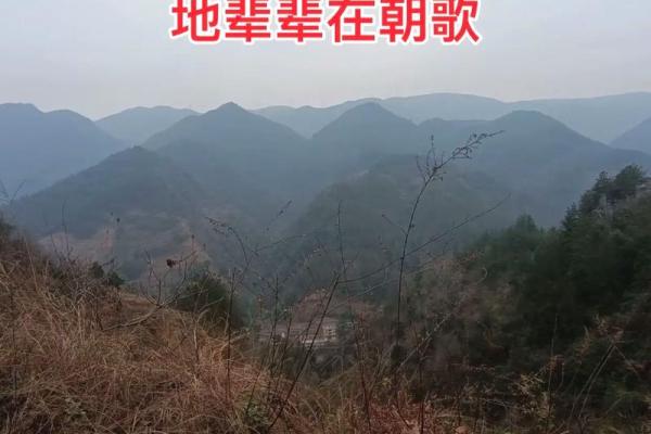 子女总是能当官的祖坟风水