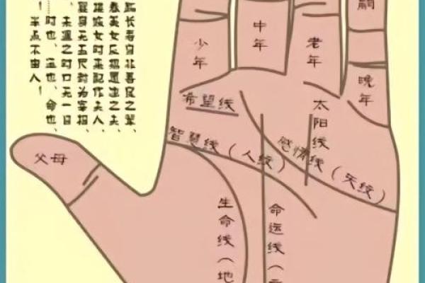 掌纹在线算命