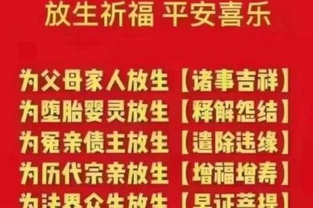 算命说身上有婴灵会一直倒霉 这才是最佳化解方