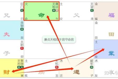 东有小山紫微斗数第8课：北斗星系②（太阳、武曲、天同、廉贞）