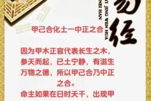 八字智慧 八字智慧