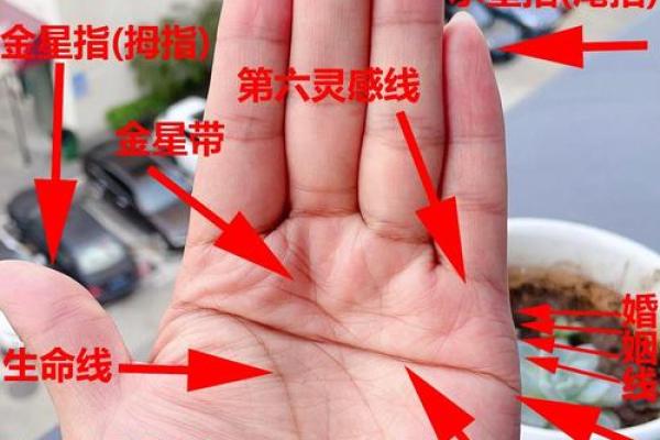 看手相算命：第六课 实际看