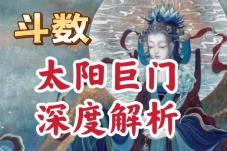 紫薇斗数之巨门