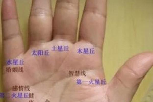 女性手掌纹算命图解婚姻