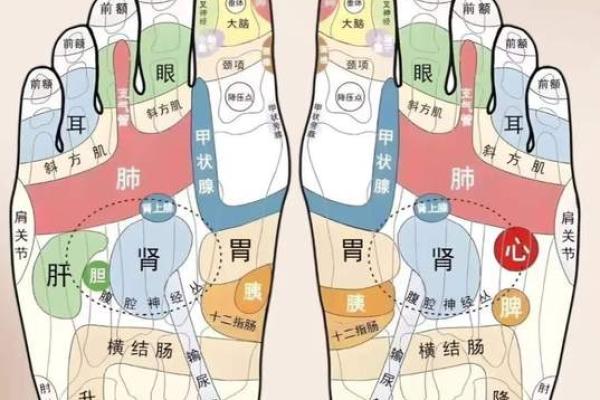 男人脚痣相算命图解 男人脚痣相算命图解