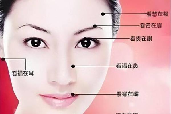 面相风水女人十大富贵眉毛你有吗