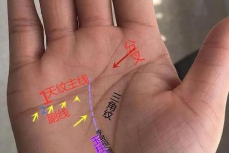 女性手掌纹算命图解婚姻