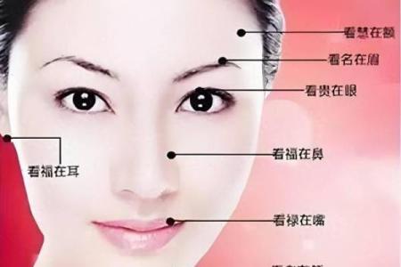面相风水女人十大富贵眉毛你有吗
