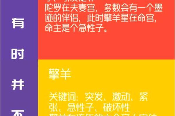 掌握幸福之道:紫微斗数顶级命格 掌握幸福之道:紫微斗数顶级命格
