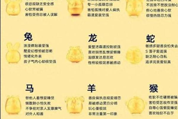 生肖性格测试：十二生肖强意思大揭秘！