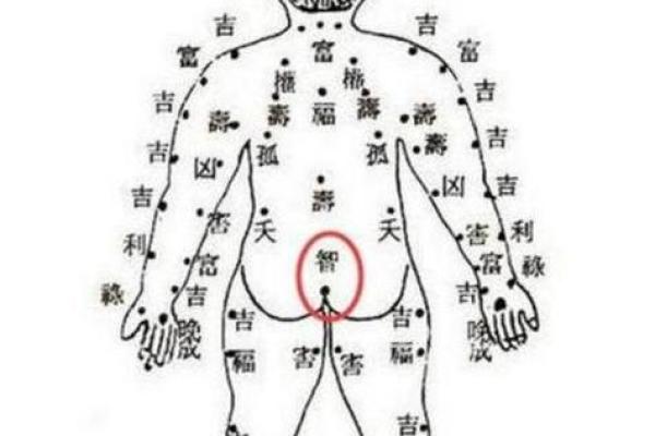 肚脐算命,哪种肚脐眼是富贵相 肚脐算命,哪种肚脐眼是富贵相