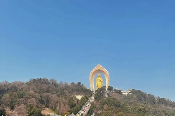 观音灵签73 观音灵签73会有什么好运降临 观音灵签73 观音灵签73会有什么好运降临