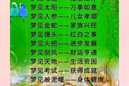 周公全部灵签解释