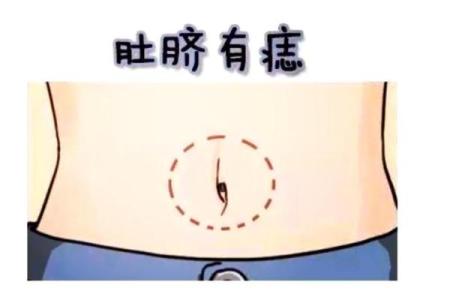 肚脐算命,哪种肚脐眼是富贵相