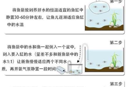 养鱼风水讲究需要注意哪些方面呢