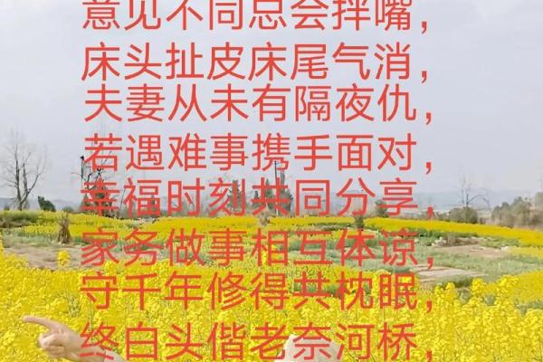 月老姻缘一线牵诗词 月老姻缘的句子？