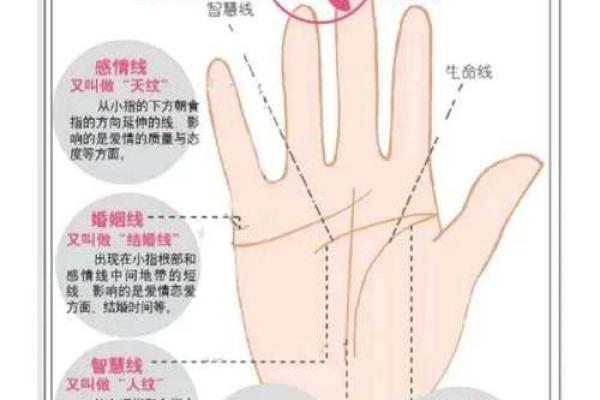 女人手纹算命图解,有福气的女人手相
