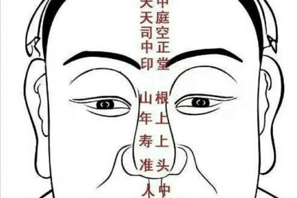 风水上后脑勺长痣代表什么意思 风水上后脑勺长痣代表什么意思