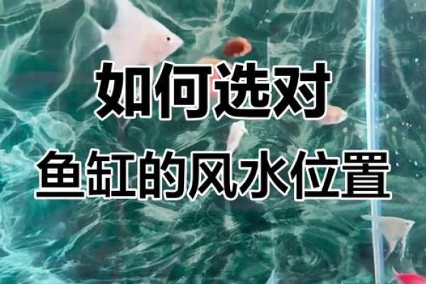 风水角度鱼从鱼缸里跳出来有什么寓意预兆