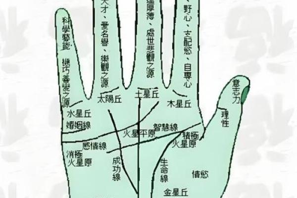 手相太阳线揭秘算命图解大全