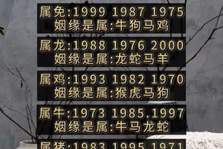 免费测夫妻八字姻缘 夫妻八字婚姻算命免费测试？