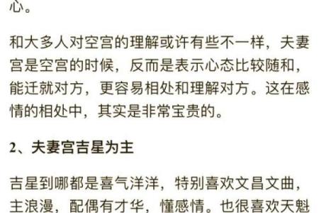 紫薇斗数夫妻宫乙未什么意思