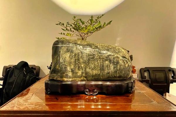 详解:九龙连壁风水摆件 详解:九龙连壁风水摆件