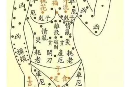 风流女人的面相痣算命