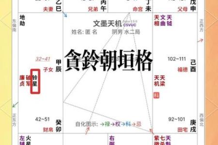 紫薇斗数中禄忌权科什么意思