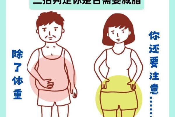 人胖与瘦八字命理组合揭秘 人胖与瘦八字命理组合揭秘