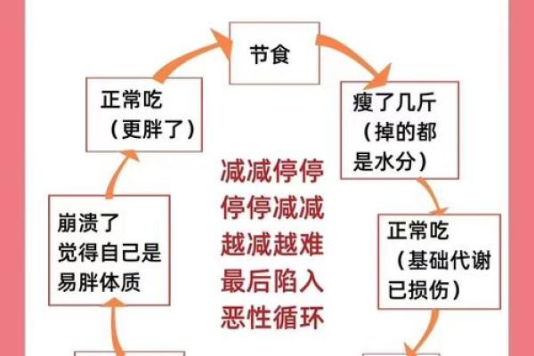 人胖与瘦八字命理组合揭秘 人胖与瘦八字命理组合揭秘