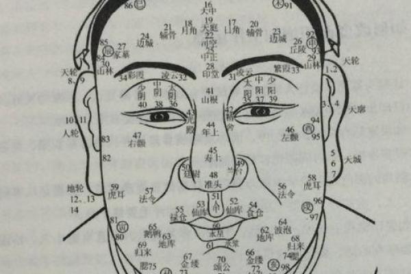 长方脸八字详解及改运指南,打造完美面相! 长方脸八字详解及改运指南,打造完美面相!