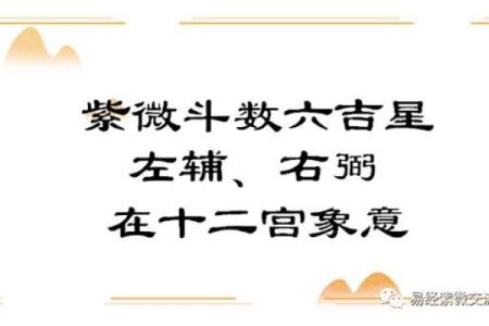 紫薇斗数左辅右弼代表男女