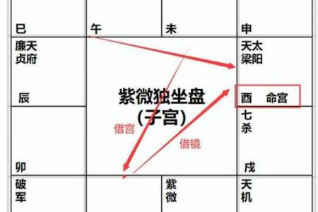 免费查紫薇星盘入宫是什么意思