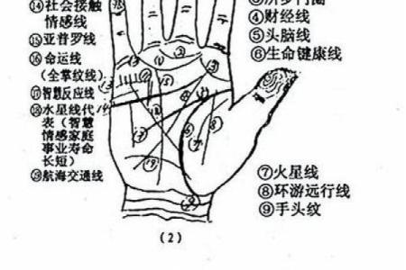 怎样看手相算命,如何学会看手相算命