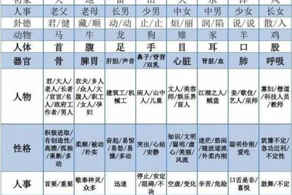 梅花易数排盘怎么解 梅花易数排盘怎么解