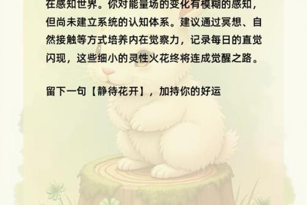 八字命理出林之兔是属于什么命 八字命理出林之兔是属于什么命