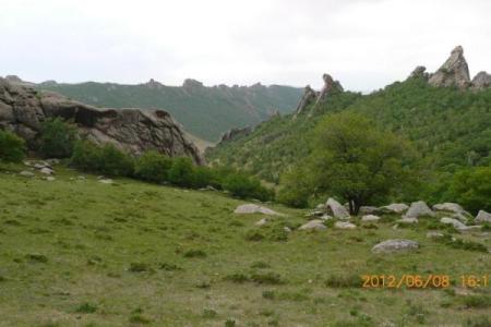 如何以沙漠绿洲为中心测算八字？