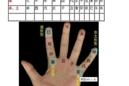 九宫格算命,生辰八字九宫格