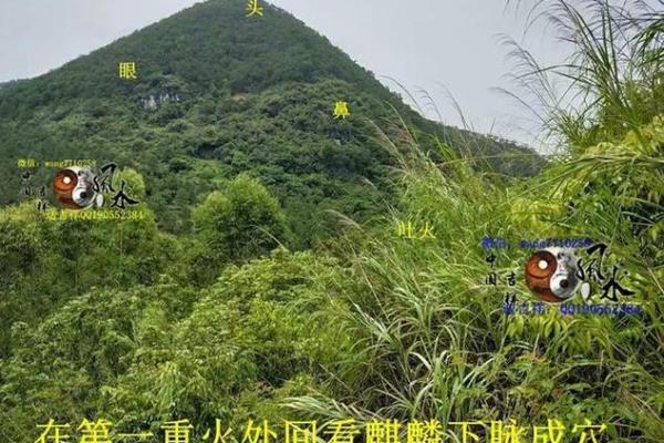 如何判定风水宝地