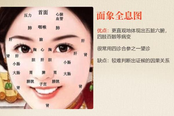 人体胎记算命的解释分析 人体胎记算命的解释分析
